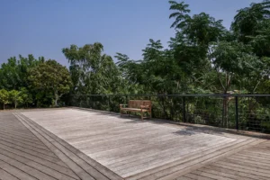 imaginox pakeliami baseino dugnai